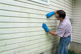 Best Vinyl Siding Installation  in Crainvle, IL